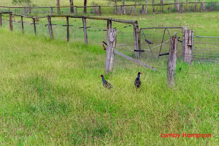Fourth view of Homely land listing, 15 Fisher Road, Maraylya NSW 2765