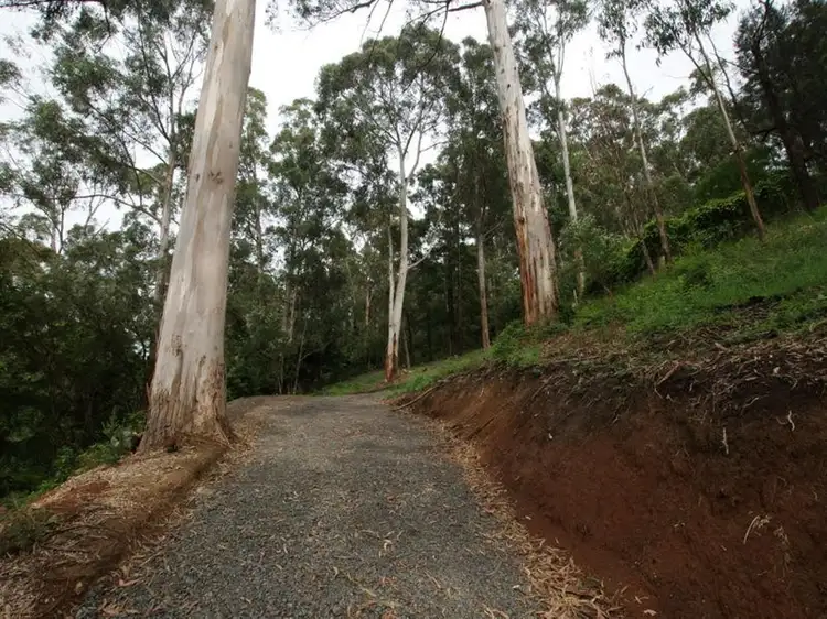 Main view of Homely land listing, 113 Wonga Road, Millgrove VIC 3799