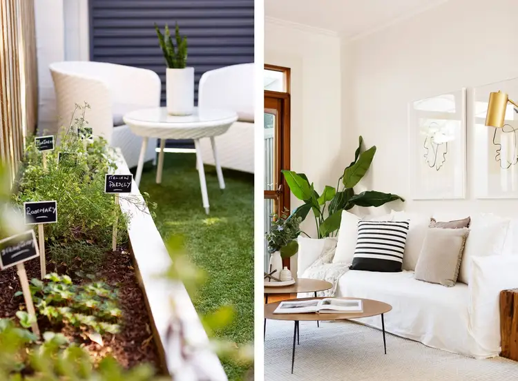 98 Lawson Street, Paddington NSW 2021