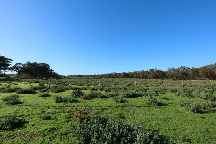 Fourth view of Homely land listing, 4167 Pyrenees Highway, Flagstaff VIC 3465