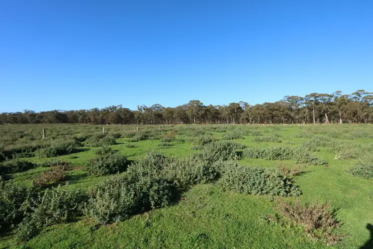 Fifth view of Homely land listing, 4167 Pyrenees Highway, Flagstaff VIC 3465