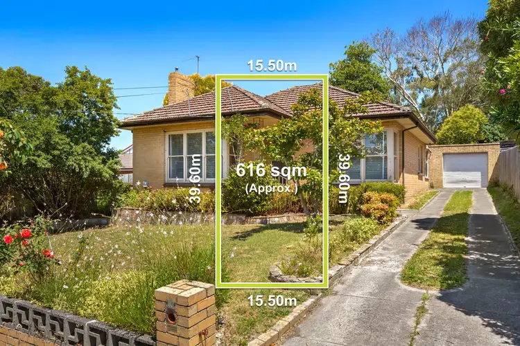 Main view of Homely house listing, 10 Betula Avenue, Nunawading VIC 3131