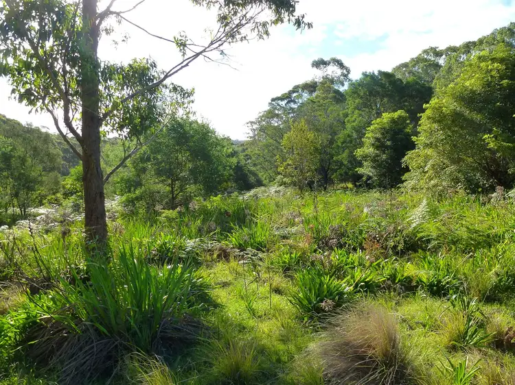 Fifth view of Homely land listing, Lot 107 Thrush Street, Bawley Point NSW 2539