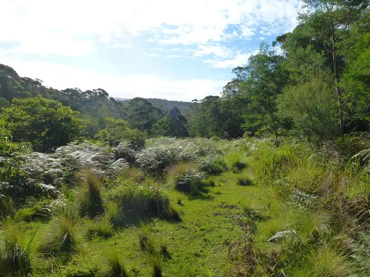 Sixth view of Homely land listing, Lot 107 Thrush Street, Bawley Point NSW 2539
