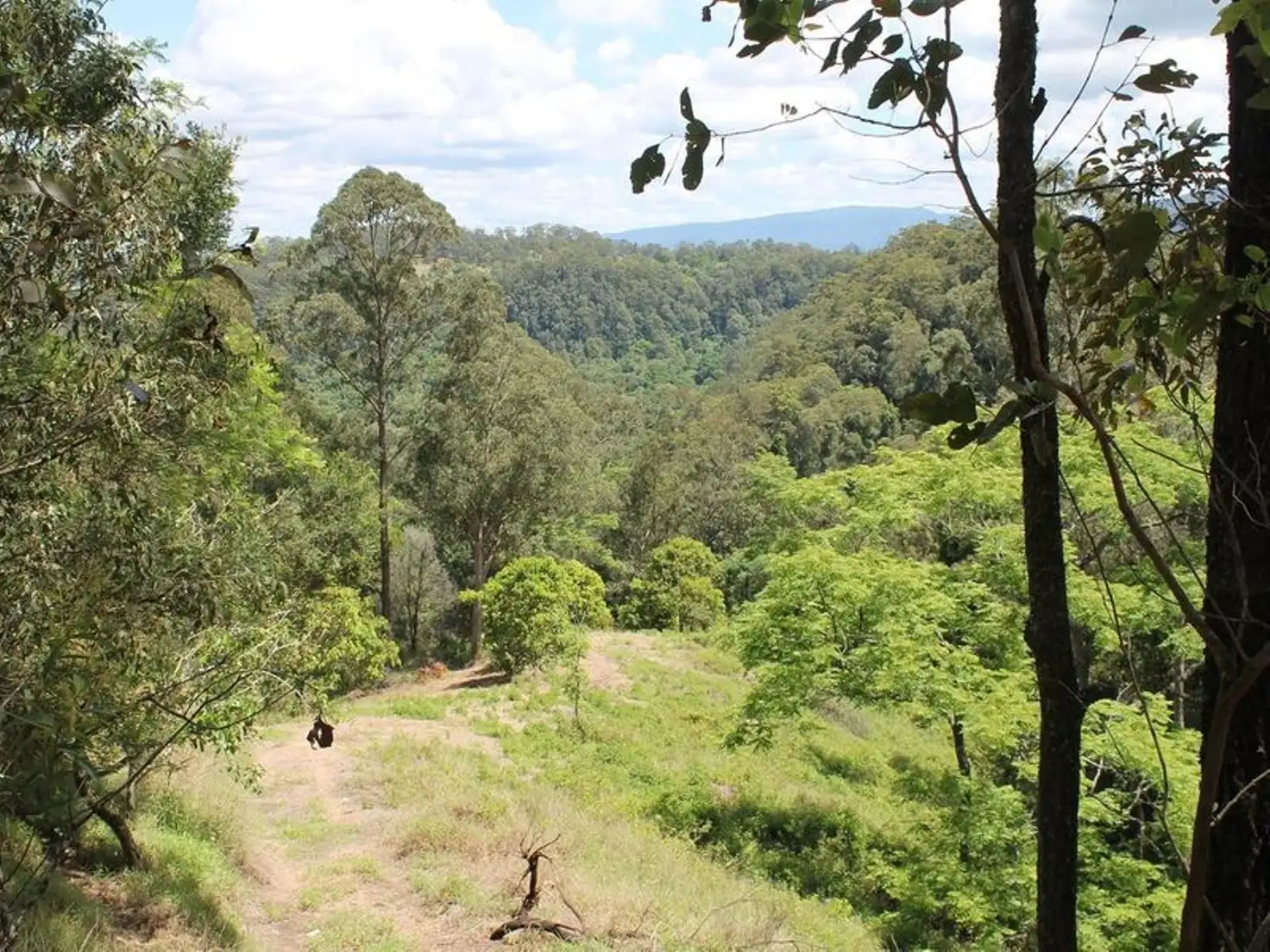 Main view of Homely rural property listing, 306 Bishops Creek Road, Coffee Camp NSW 2480