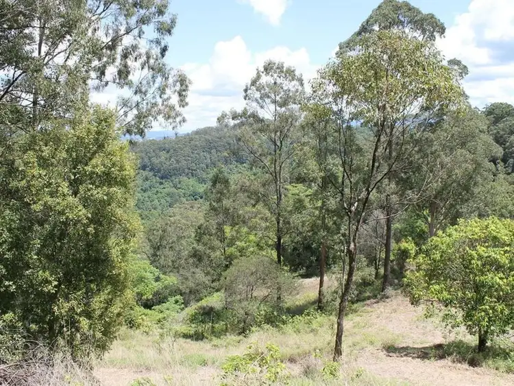 Sixth view of Homely rural property listing, 306 Bishops Creek Road, Coffee Camp NSW 2480