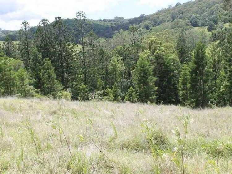 Fifth view of Homely rural property listing, 309 Henson Road, Wyrallah NSW 2480