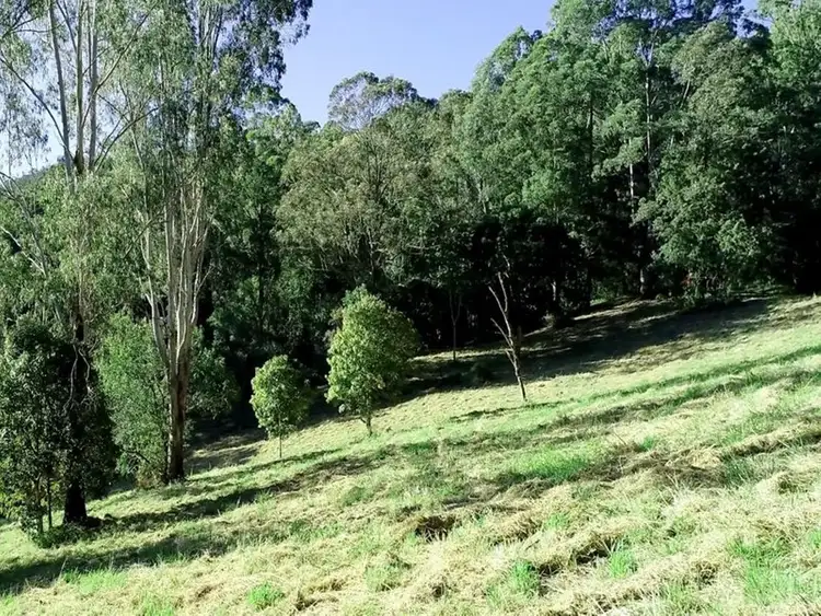 Second view of Homely rural property listing, 371 Billen Road, Georgica NSW 2480