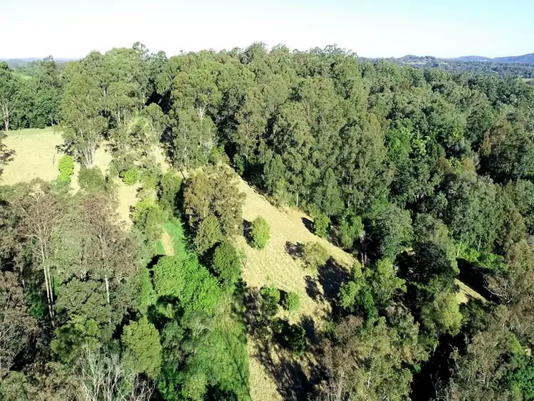 Third view of Homely rural property listing, 371 Billen Road, Georgica NSW 2480