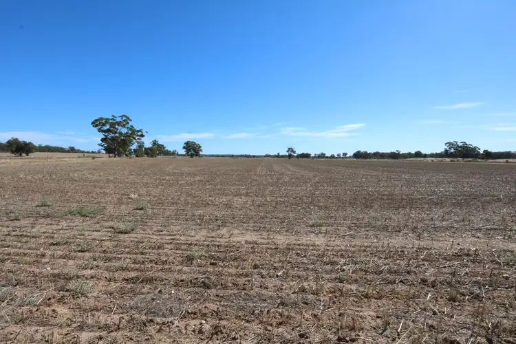 Corner of/Stevens Road & Russells Road, Bet Bet VIC 3472