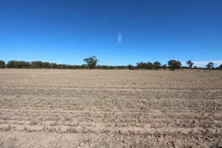 Fifth view of Homely land listing, Corner of/Stevens Road & Russells Road, Bet Bet VIC 3472