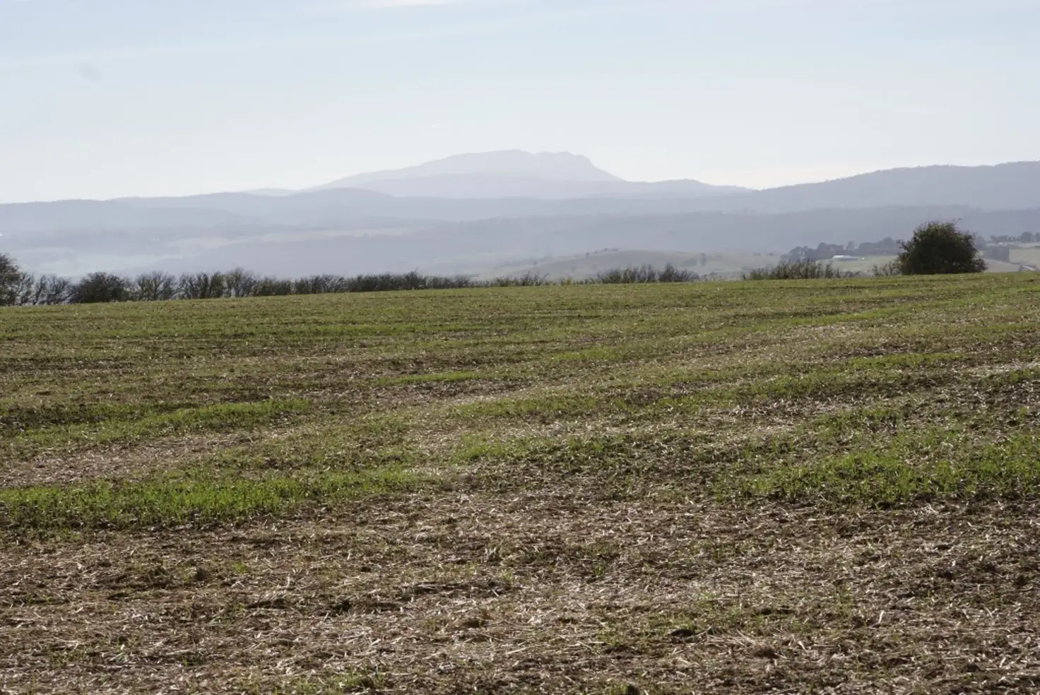 Main view of Homely rural property listing, LOT 3 Trafalgar Lane, Evandale TAS 7212
