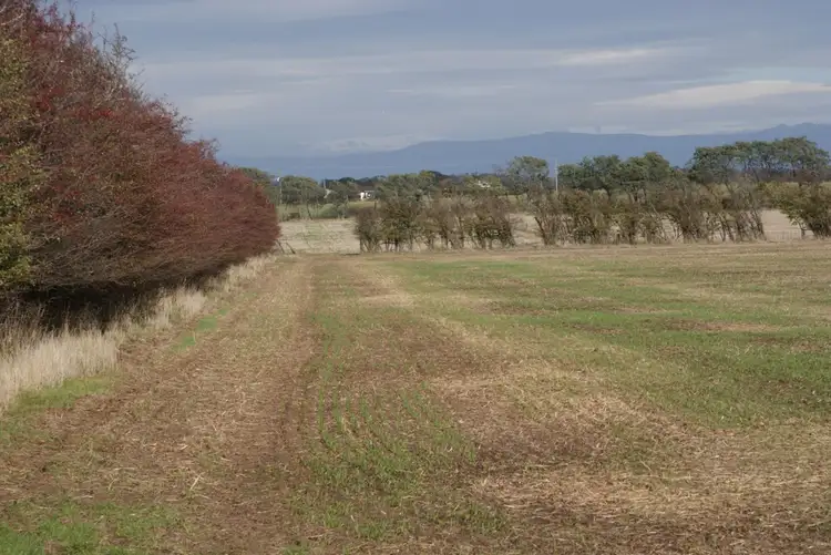 Second view of Homely rural property listing, LOT 3 Trafalgar Lane, Evandale TAS 7212