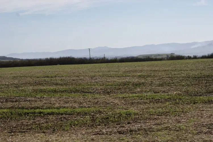 Third view of Homely rural property listing, Lot 1 Trafalgar Lane, Evandale TAS 7212
