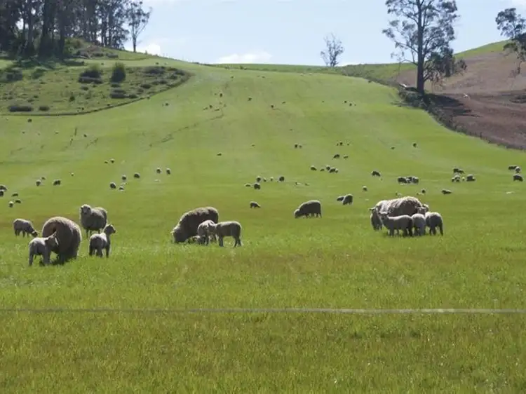 Second view of Homely house listing, 576 Bengeo Road, Deloraine TAS 7304