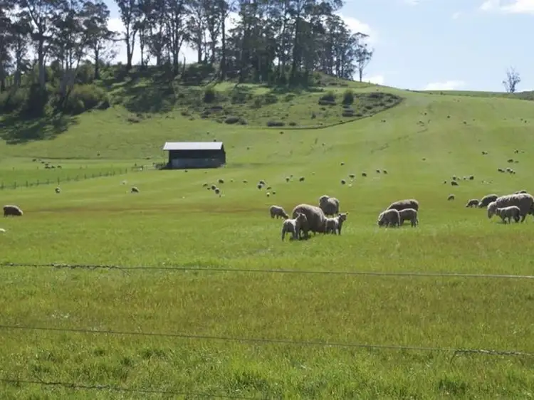 Third view of Homely house listing, 576 Bengeo Road, Deloraine TAS 7304