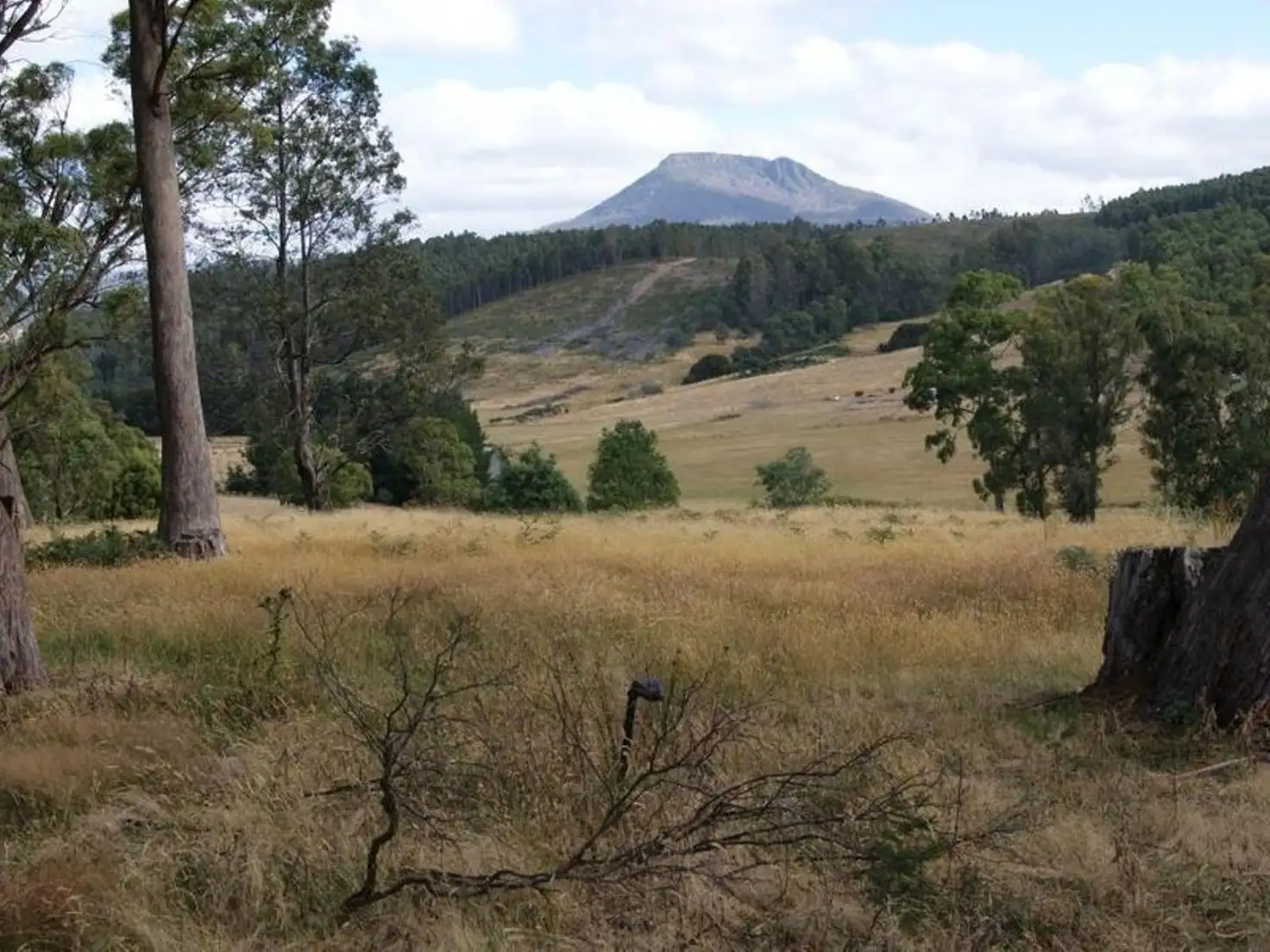 Main view of Homely land listing, Lot 3, 374 Quamby Brook Road, Quamby Brook TAS 7304
