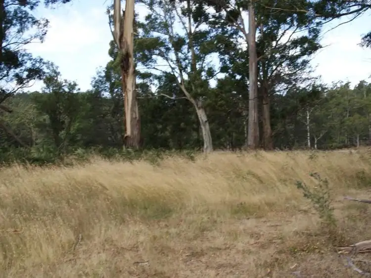 Second view of Homely land listing, Lot 3, 374 Quamby Brook Road, Quamby Brook TAS 7304