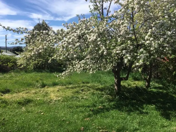 Seventh view of Homely house listing, 34 Meander Valley Road, Deloraine TAS 7304