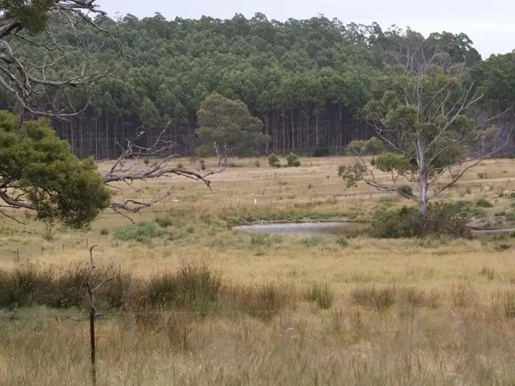 Lot 2, 374 Quamby Brook Road, Quamby Brook TAS 7304