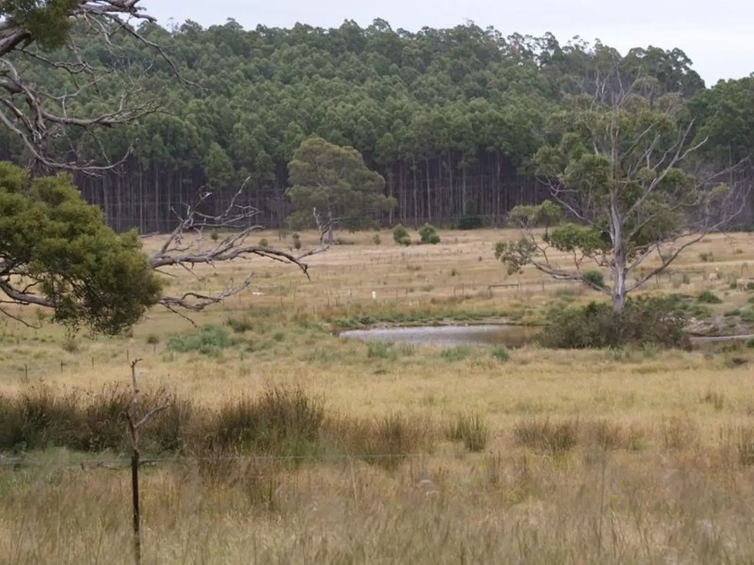 Main view of Homely land listing, Lot 2, 374 Quamby Brook Road, Quamby Brook TAS 7304