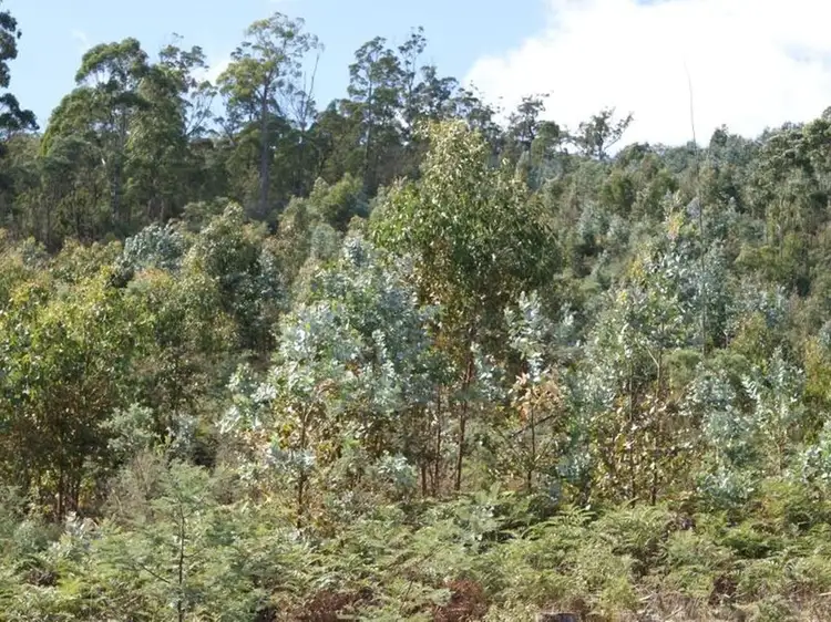 90 Geiss Road, Tunnel TAS 7254