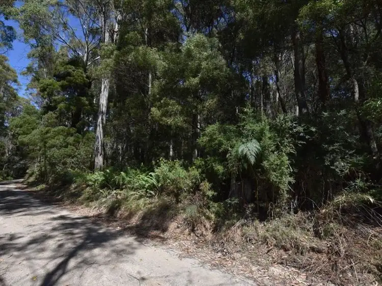 Second view of Homely rural property listing, Lot 1 Farrells Road, Reedy Marsh TAS 7304
