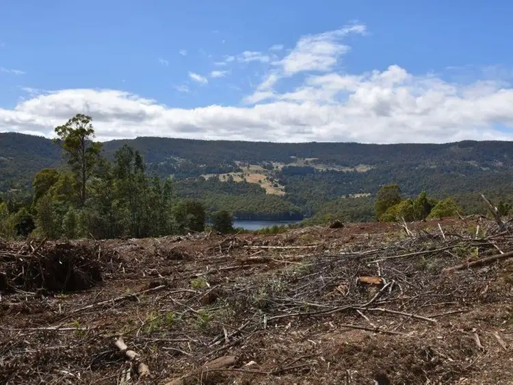 Lot 1 Dolcoath Road, Moina TAS 7310