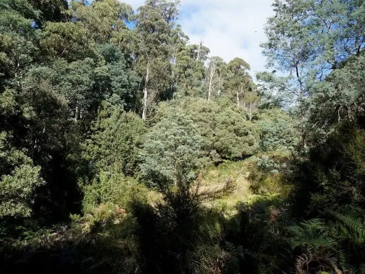 Seventh view of Homely rural property listing, Lot 1 Dolcoath Road, Moina TAS 7310