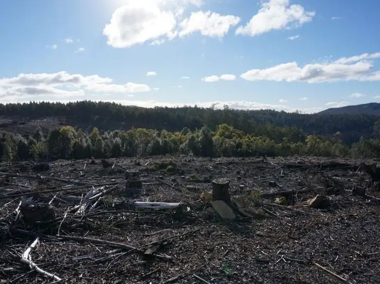Lot 1 Maroney's Road, Deloraine TAS 7304