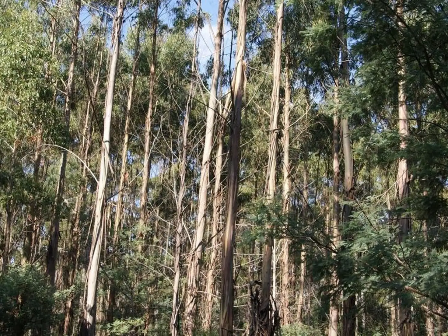 Main view of Homely rural property listing, Lot 1 Tasman Highway, Targa TAS 7259