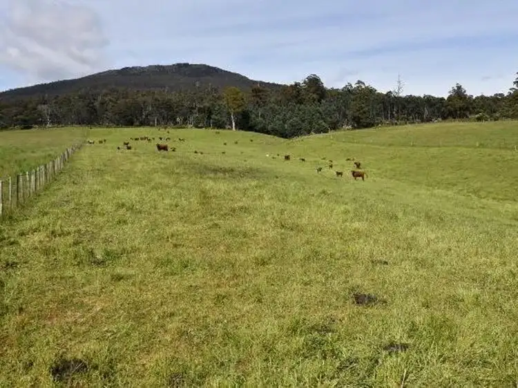 Second view of Homely rural property listing, 68 Mt Beulah Road, Western Creek TAS 7304