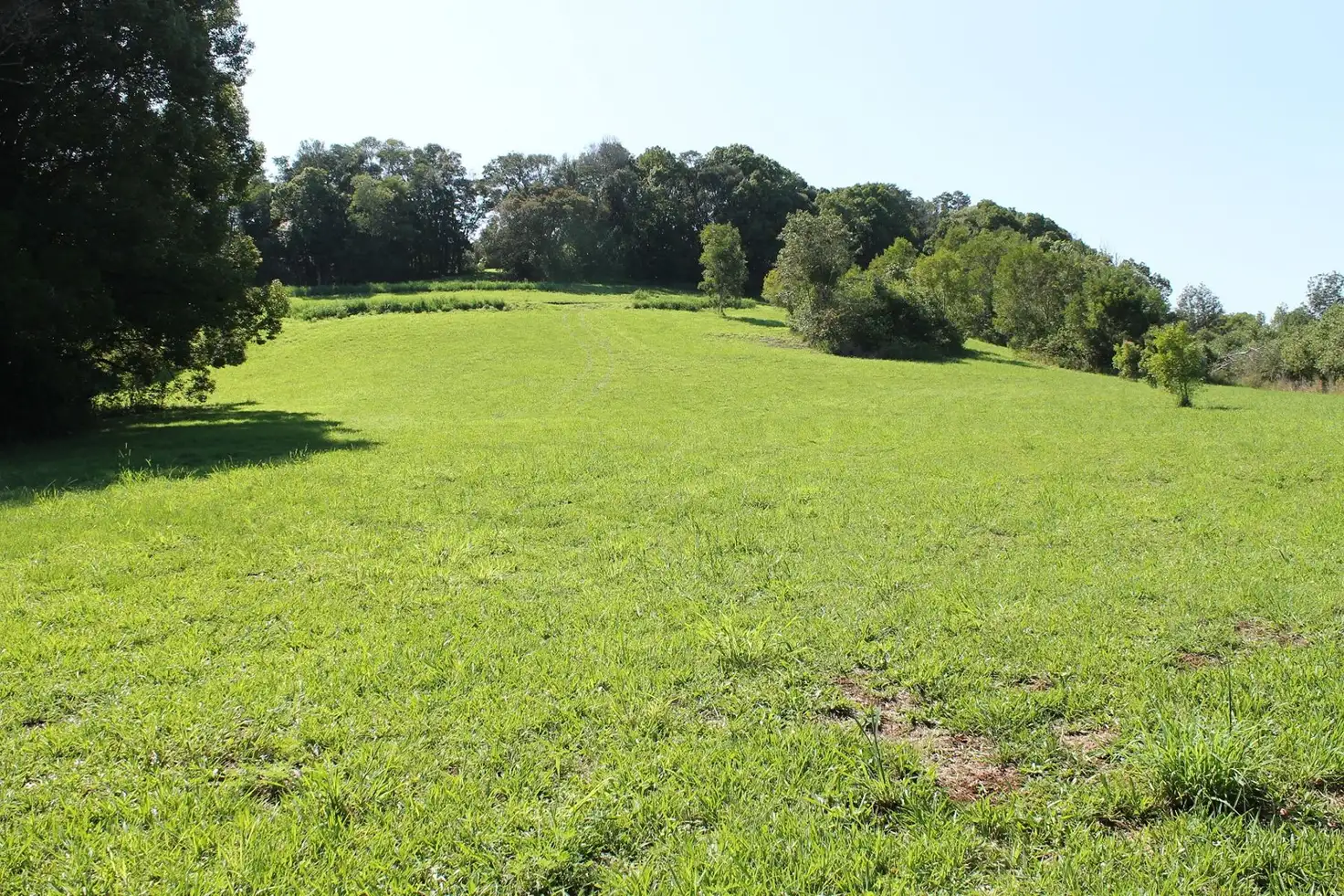 Main view of Homely rural property listing, 87 Willis Road, Tregeagle NSW 2480