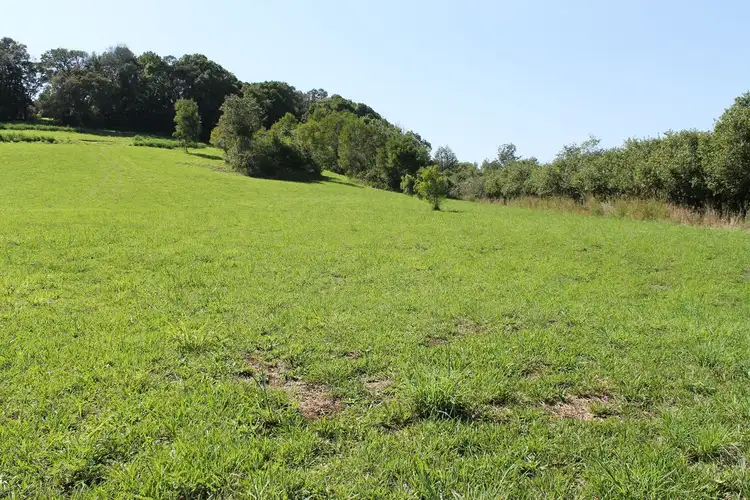 Second view of Homely rural property listing, 87 Willis Road, Tregeagle NSW 2480