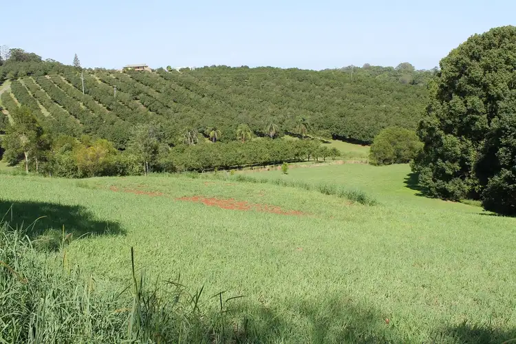 Third view of Homely rural property listing, 87 Willis Road, Tregeagle NSW 2480