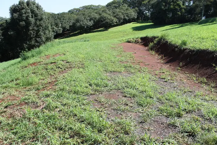 Fourth view of Homely rural property listing, 87 Willis Road, Tregeagle NSW 2480