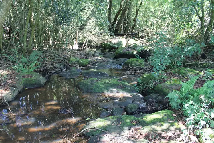 Sixth view of Homely rural property listing, 87 Willis Road, Tregeagle NSW 2480