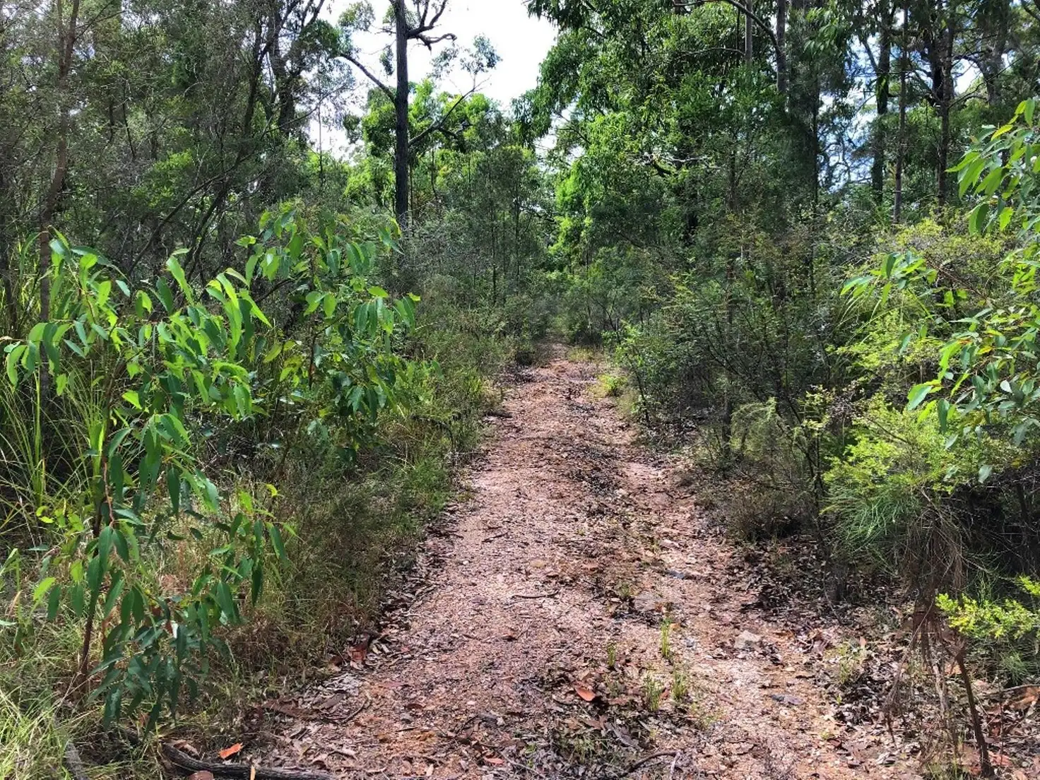 Main view of Homely land listing, Lots 2779 - 2780 Comboyne Avenue, North Arm Cove NSW 2324