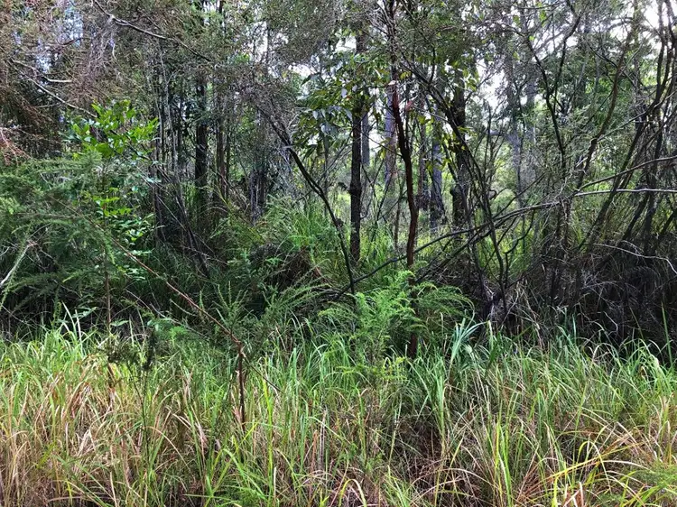 Second view of Homely land listing, Lots 2779 - 2780 Comboyne Avenue, North Arm Cove NSW 2324