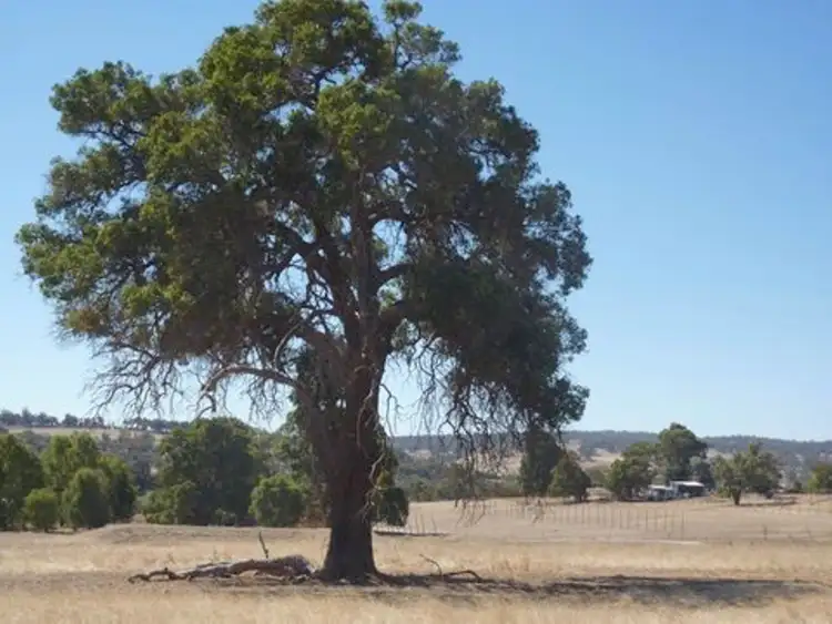 Fifth view of Homely other listing, 32 Pardalote Heights, Crossman WA 6390