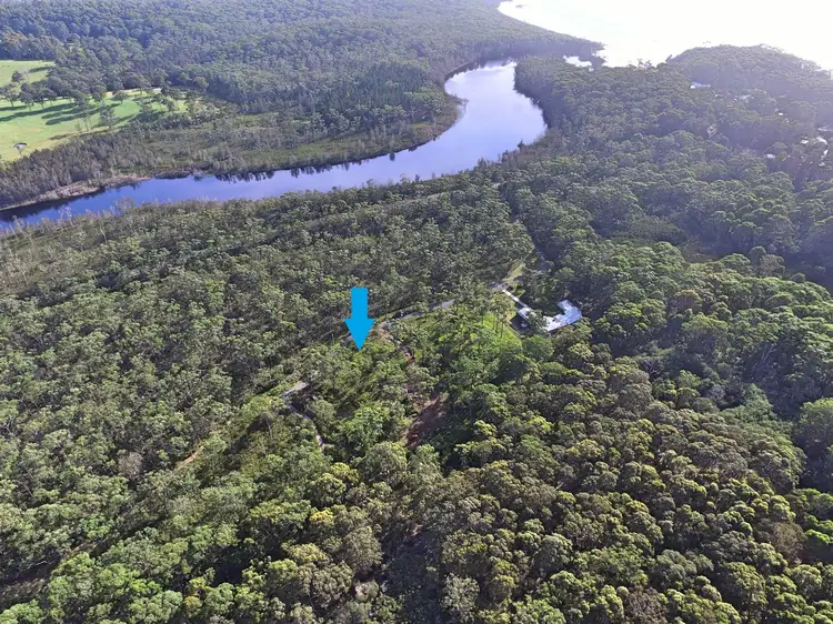 Main view of Homely land listing, 31 Skylark Close, Bawley Point NSW 2539