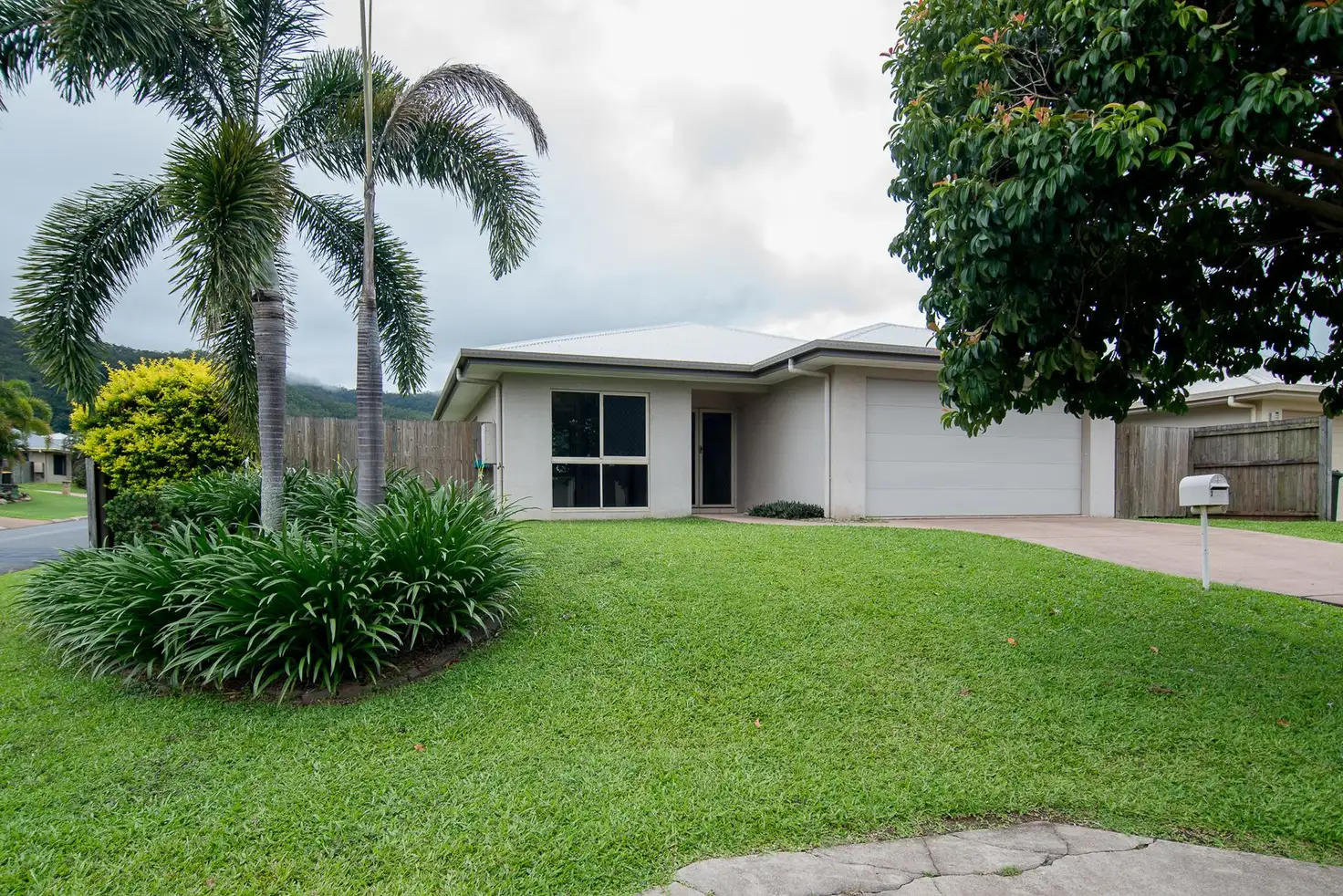 Main view of Homely house listing, 3 Kenrick Street, Gordonvale QLD 4865