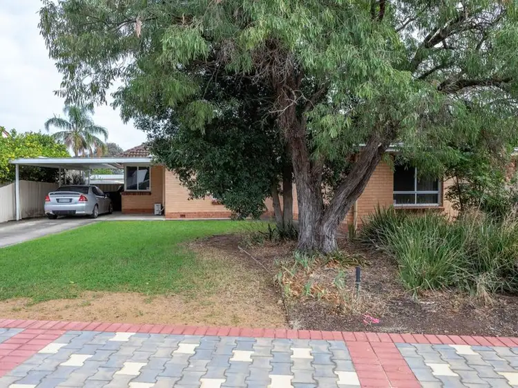 Main view of Homely house listing, 24 Finniss Street, Marion SA 5043