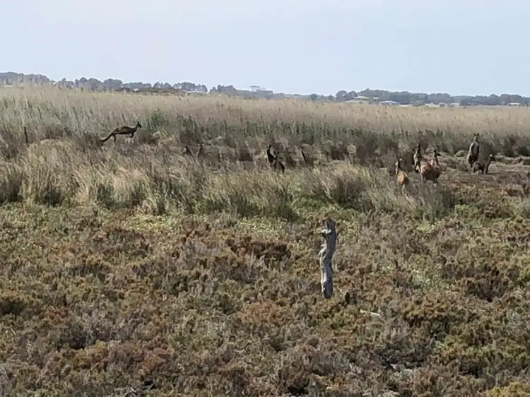 Fourth view of Homely land listing, 53 Fidock Road, Goolwa North SA 5214