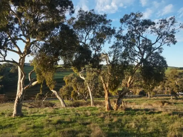 Third view of Homely land listing, Lot 641 Nangkita Road, Mount Compass SA 5210