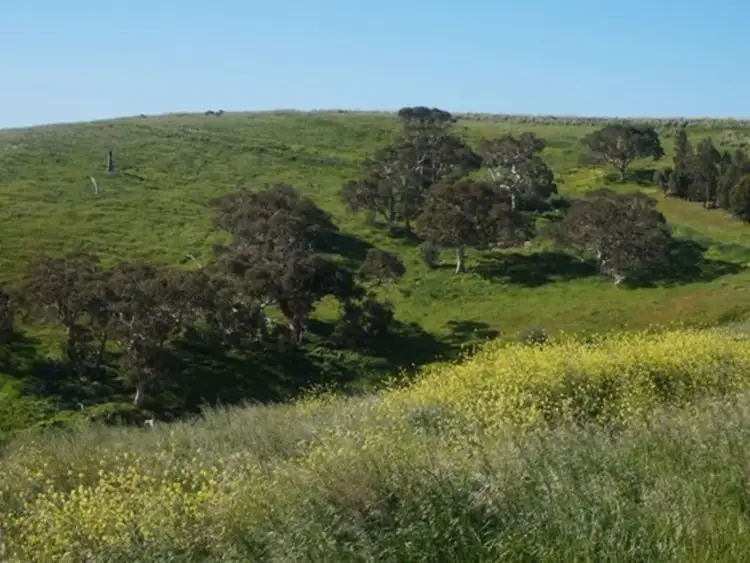 Third view of Homely rural property listing, Lot 532 Whitelaw Road, Carrickalinga SA 5204