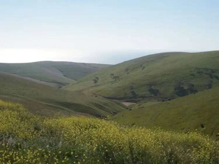 Fourth view of Homely rural property listing, Lot 532 Whitelaw Road, Carrickalinga SA 5204