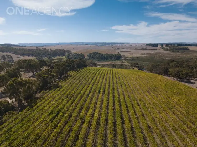 963 Cleland Gully Road, Tooperang SA 5255