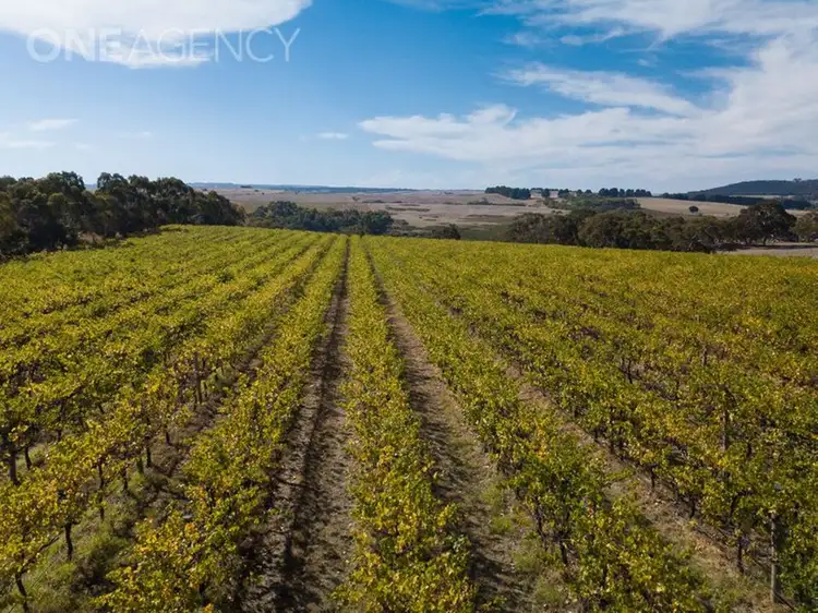Second view of Homely rural property listing, 963 Cleland Gully Road, Tooperang SA 5255
