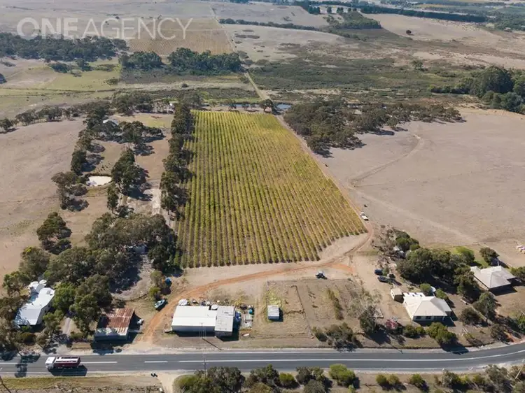 Third view of Homely rural property listing, 963 Cleland Gully Road, Tooperang SA 5255